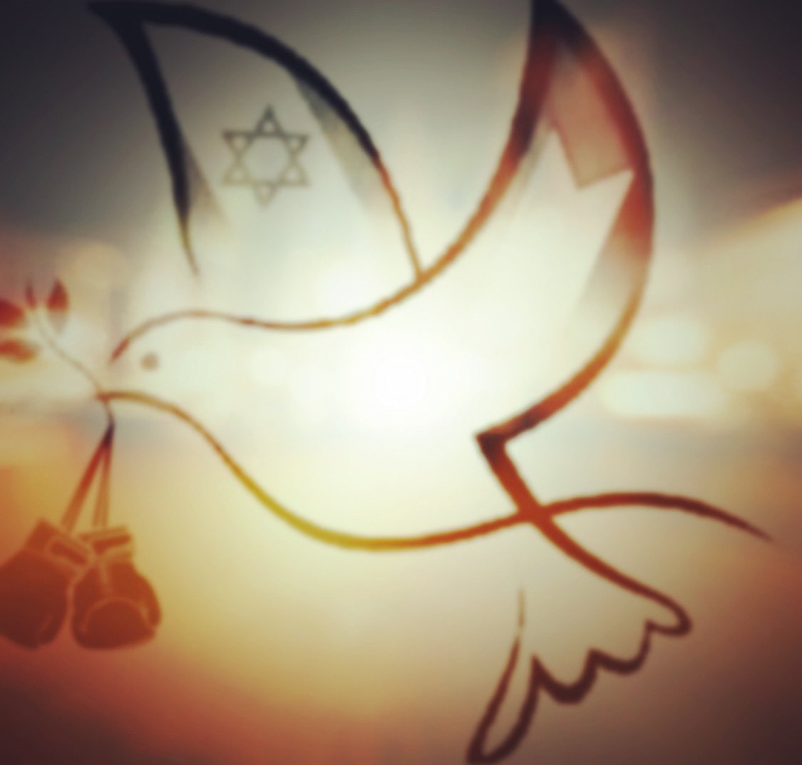TonyMilch's tweet photo. Its not about right wing or left wing…. Its about doing the right thing #fight4peace #glovesanddoves #peace #unity #boxing #followyourdreams #1 https://t.co/RtVa98x2bJ