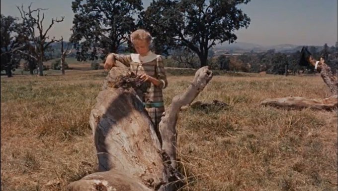 A young girl comes to an embittered town and confronts its attitude with her determination to see the best in life.

Director
David Swift
Writers
Eleanor H. Porter(novel)David Swift(written for the screen by)
Stars
Jane WymanHayley MillsRichard Egan