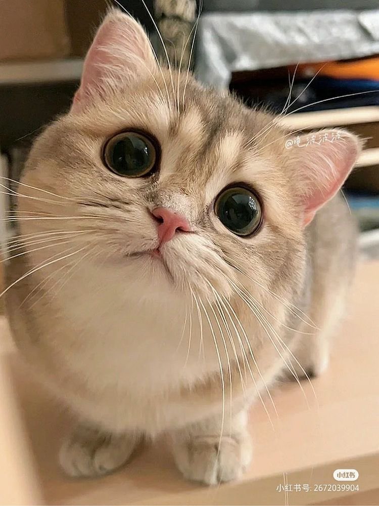 niithaniel's tweet image. underwhelming update i know i have depression and today was a Bad Day. will do better as soon as [this] gets better.