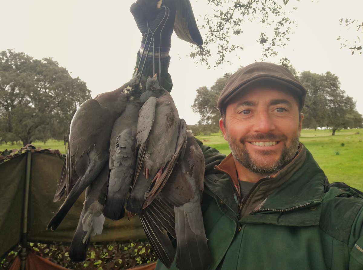 Pudo ser mejor , pero las palomas no hay quien las entienda.