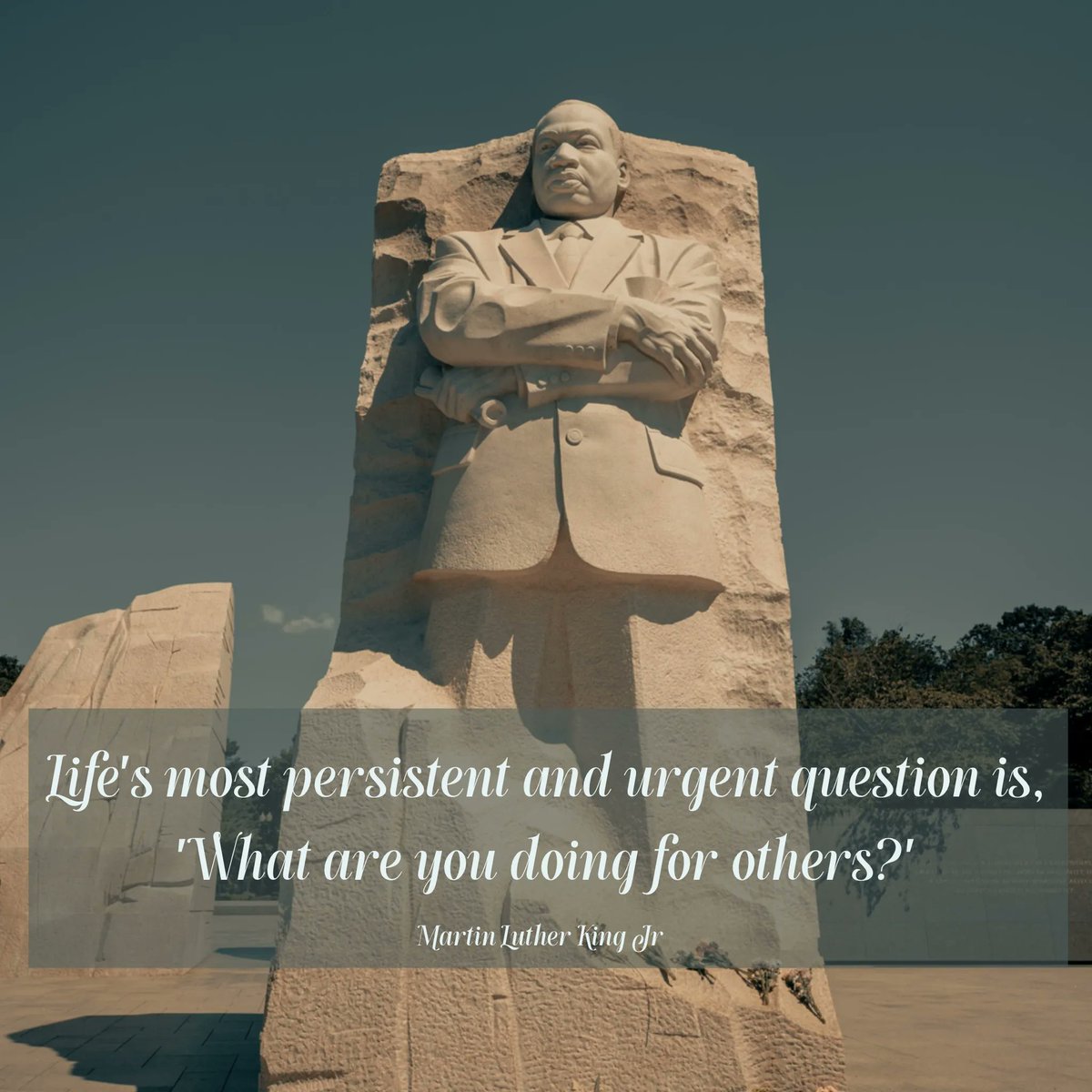 SynodSun's tweet photo. https://t.co/7ezlb2pIEf