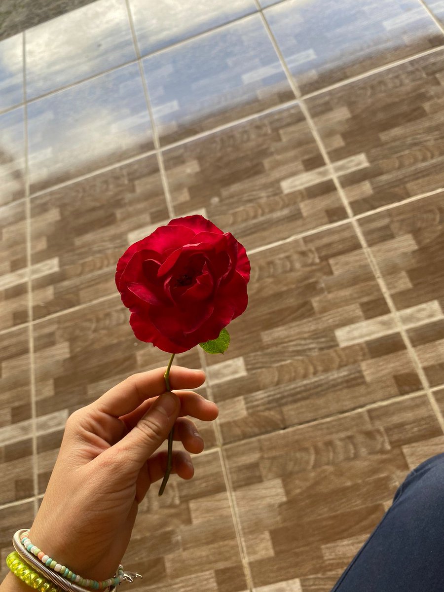 Me regalo una florcita 🥺❤️‍🩹