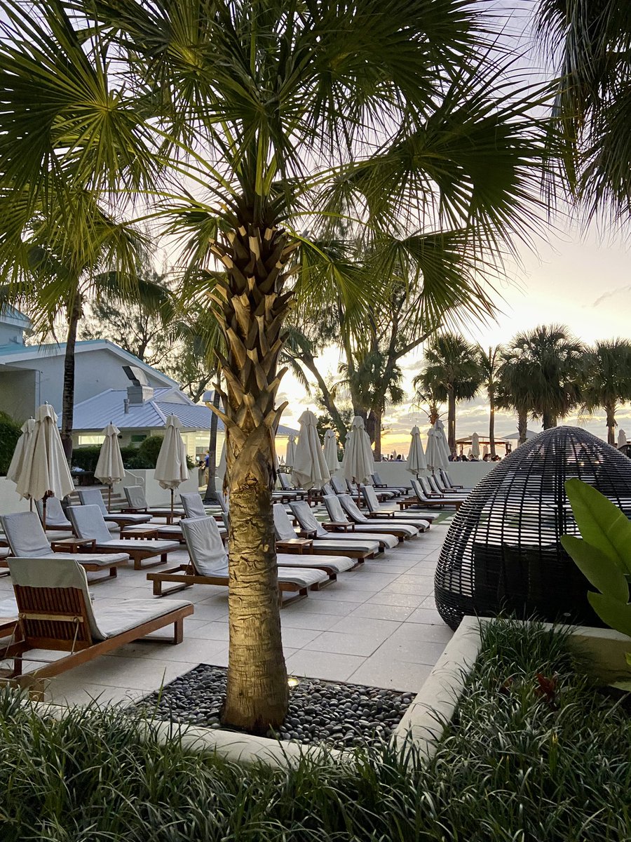 You, me and the sea! 🌴🌊 #Caymans