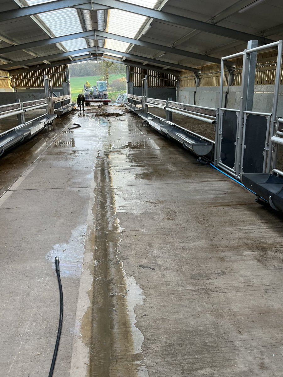 EdJohnRiley's tweet photo. Operation cleaning @BuitelaarGroup High Health Unit ..Done! Always seems like a mission when we start but well worth the effort and long term gain of washing and disinfecting between each batch. #highhealthcalves #buitelaargroup https://t.co/TCWd0HavkA