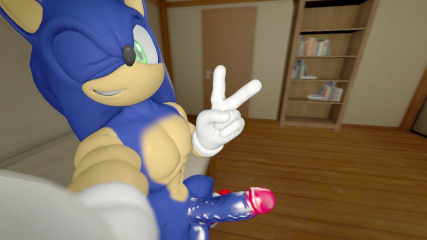 Sonic sends a text to the reader.

"Hey, I've got the place to myself. Why don't you come around for a while?"