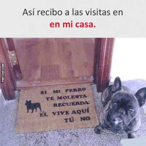 LuisJa79683895's tweet photo. @mexicomagico https://t.co/VfViHs6fIe