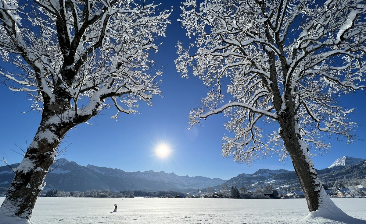 Patrick Vallélian (@vallelianpat) on Twitter photo 