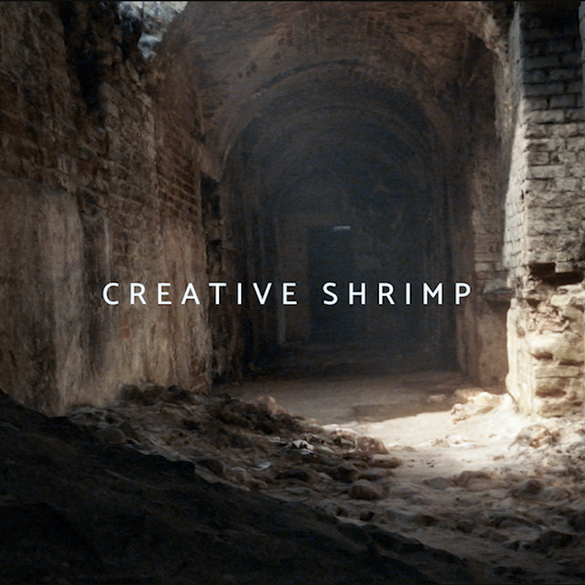 vic90_da's tweet photo. Just finished watching this fantastic #photogrammetry course of @gleb_alexandrov from #creativeShrimp and highly recommend it to everyone! 

((yes i know it took me almost a year to have it done but i was too lazy 😅)) 

#realitycapture #3Dart #Scans #motivation https://t.co/NMkg0Od3VT