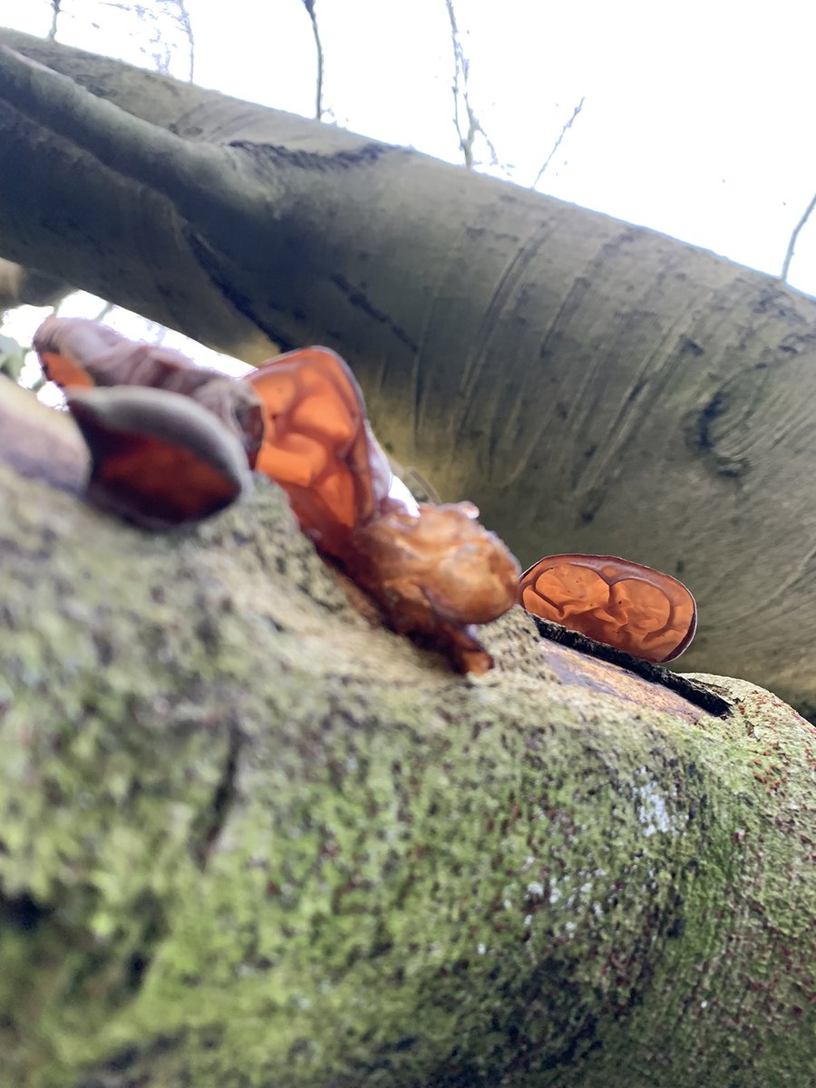 ∴ * ･ﾟ*｡★ alexandra｡ * ･ﾟ*｡★ tweet media