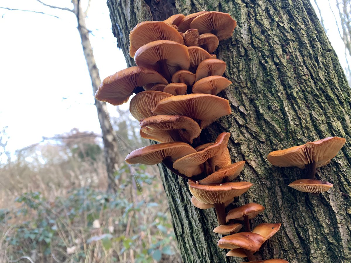 ∴ * ･ﾟ*｡★ alexandra｡ * ･ﾟ*｡★ tweet media