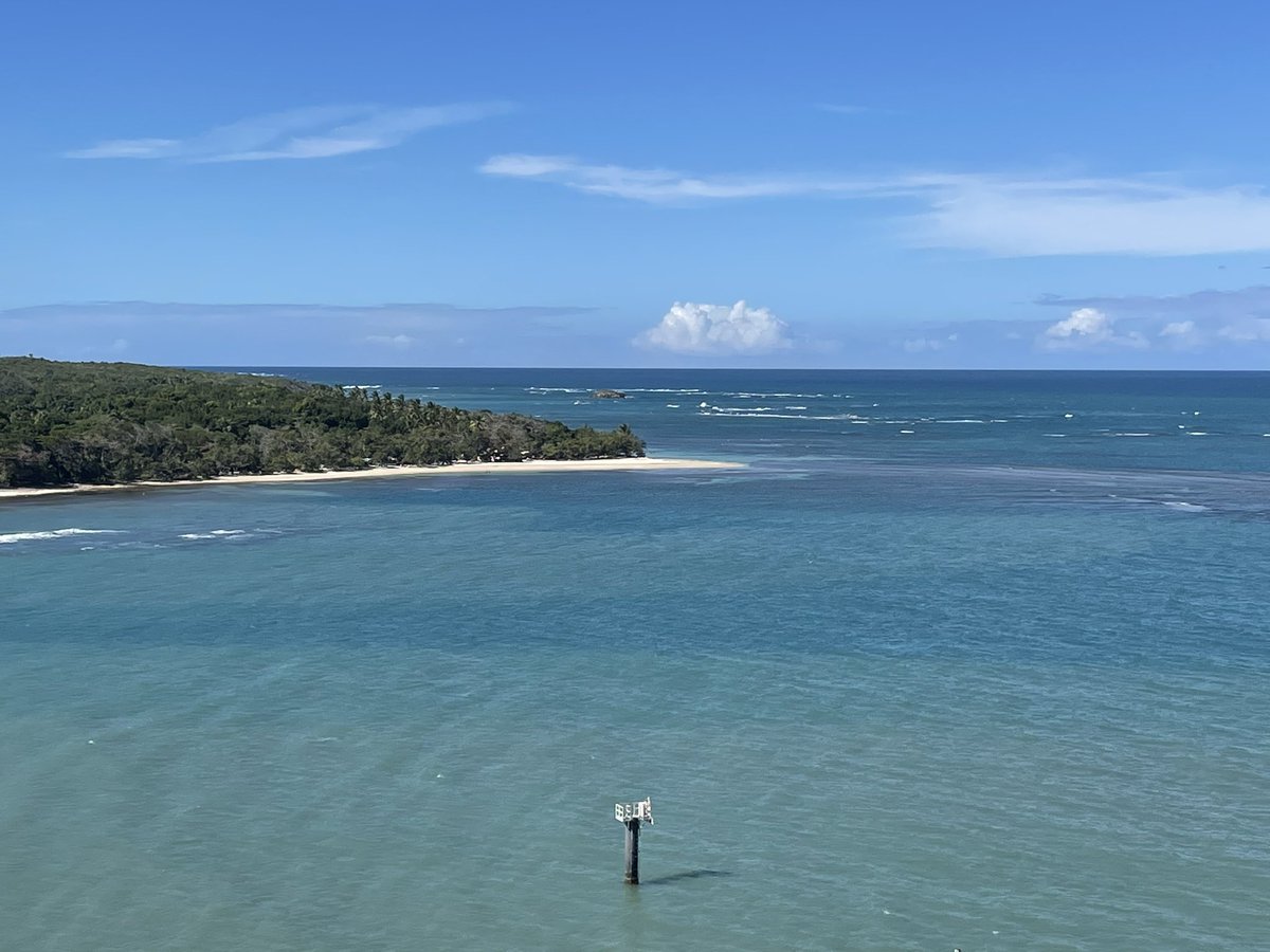 Nothing better then some winter sun 🌴 <a href="/PrincessCruises/">Princess Cruises</a>