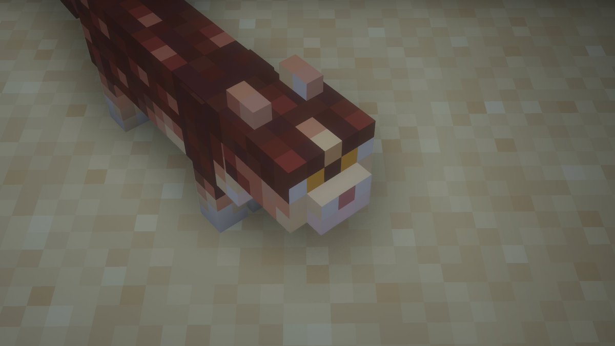 miniacraft's tweet photo. NetherCat Minecraft texture pack!
#NetherCat #texture https://t.co/CysUSU0Gqd