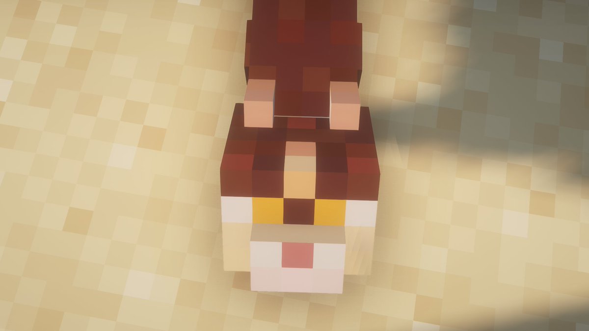 miniacraft's tweet photo. NetherCat Minecraft texture pack!
#NetherCat #texture https://t.co/CysUSU0Gqd