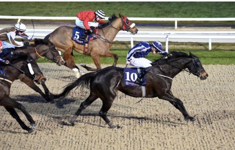 leannebreen's tweet image. Betrayed makes all under Robert Whearty to get the yard off the mark for 2023 🍀 Proudly sponsored by AMC construction