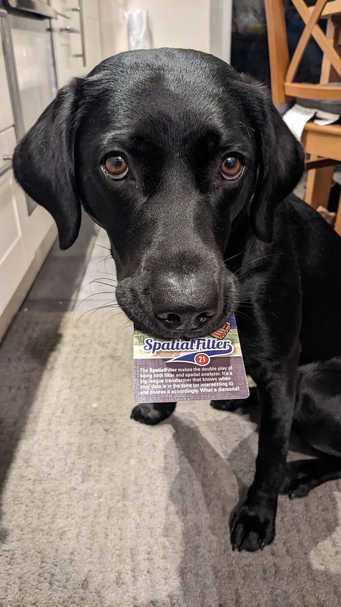 Ebygomm's tweet image. Caught someone trying to steal one of my #fme trading cards!! The cheek of it #fmecommunity