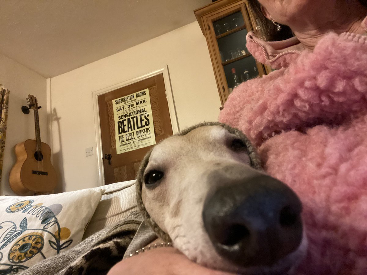 Hi <a href="/OctopusEnergy/">Octopus Energy</a> today’s #SavingSessions took me and my boy under the covers. Battery powered laptop and my normal thermos for tea…