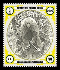 BarBrauner's tweet photo. While new species emerge daily in the metaverse, real primates are being extinct in the real world. Dying apes intends to warn of the disaster of a mass extinction.
https://t.co/NCrP4bcLNC
#Ape, #Dying, #Apes, #Nature, #Extinction, #Stamp, #Postage, #Metaverse, #Opensea https://t.co/9QnB0tdBKB