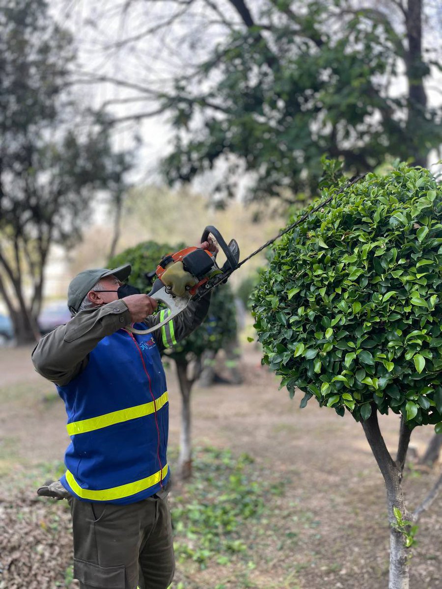 Alcaldia_Coy's tweet photo. Con el nuevo Tráiler de Servicios Urbanos de la Alcaldía, estamos imparables.
El equipo operativo de esta unidad móvil se encuentra realizando jornada de mantenimiento de espacios públicos en el parque Xotepingo y sus inmediaciones.
1/2 https://t.co/0xsQRsyc3M