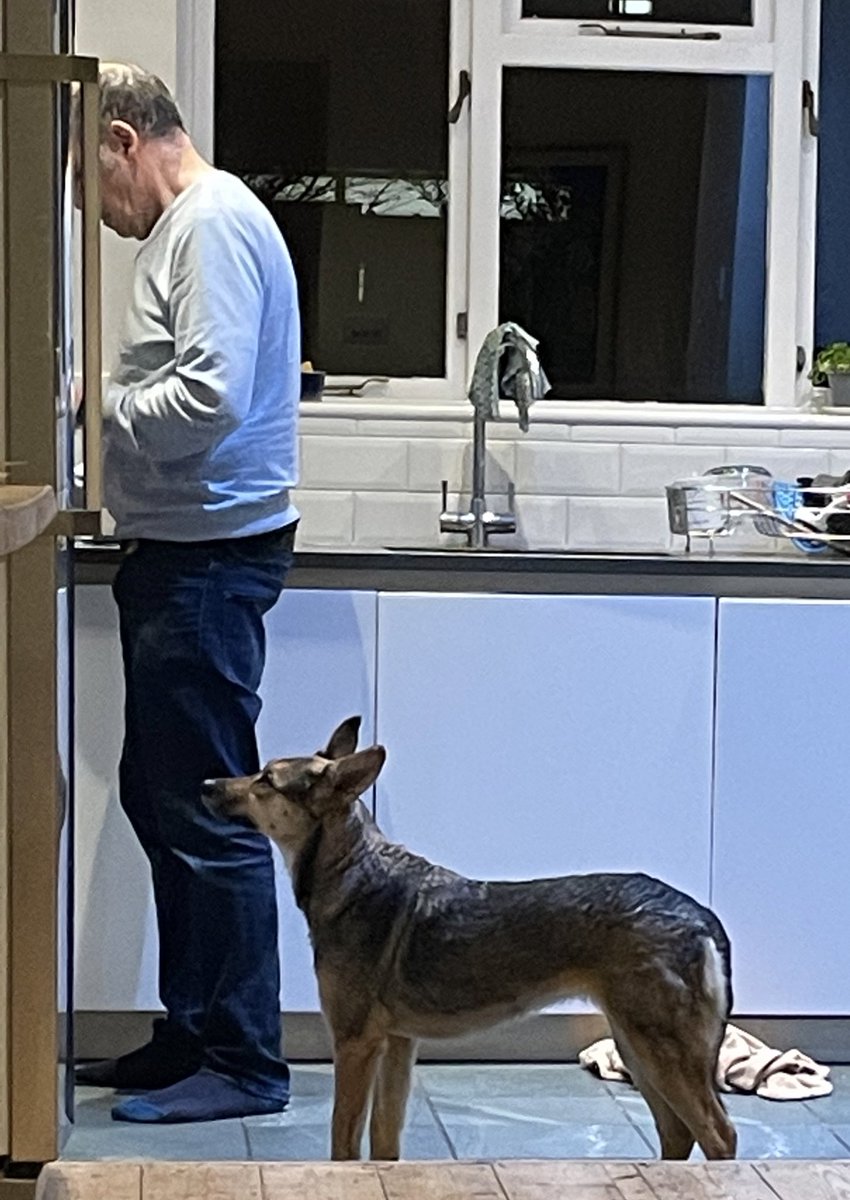 Diane Coyle tweet media