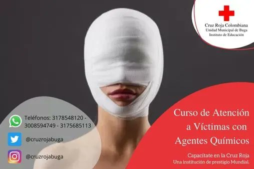 CruzRojaBuga's tweet photo. Aumenta tus competencias en nuestro Curso de "Atención a Víctimas con Agentes Químicos" (para personal de la salud)
Comunícate con nosotros a través del siguiente enlace vía WhatsApp https://t.co/G5O4yDgtGf 
¡Capacítate en la Cruz Roja, una Institución con prestigio Mundial! https://t.co/ztimvYt4o7
