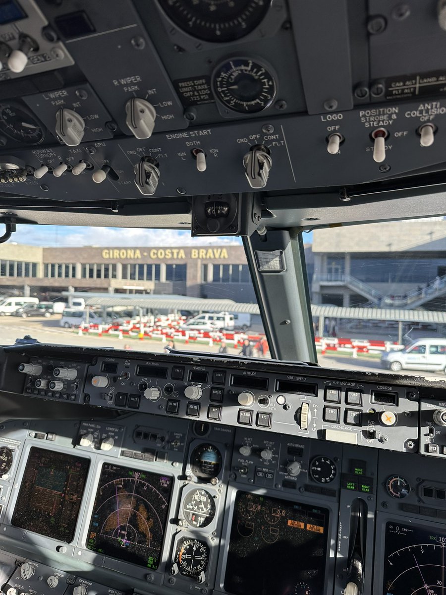 Natalia Camelo tweet media