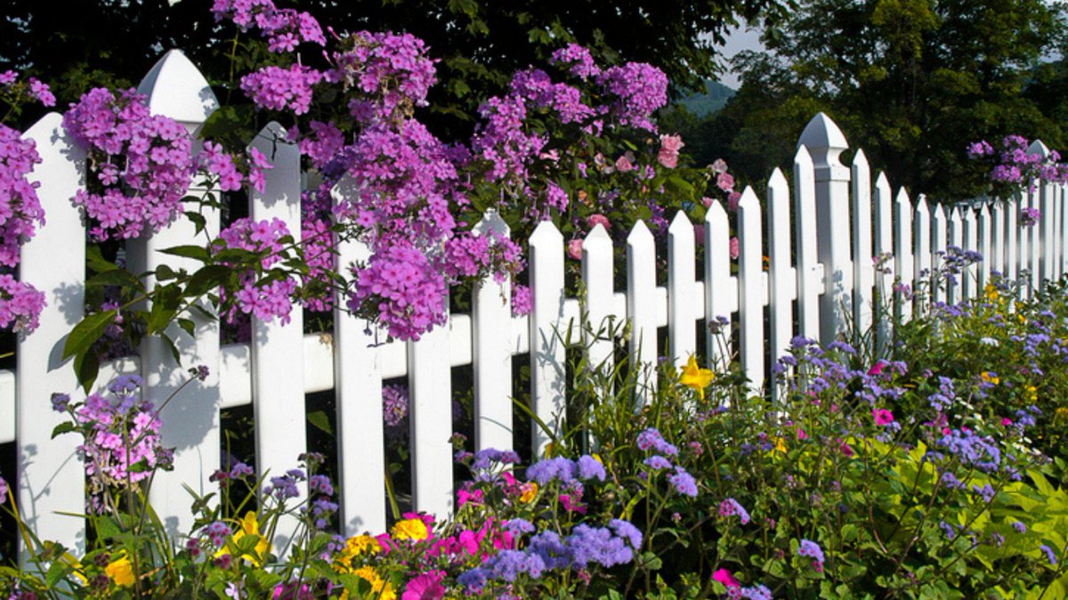 Coopers_online's tweet photo. After reading our latest flower planting guide on our instagram @coopersofstortford your garden will be popping with colour all year round!
Check it out now - https://t.co/PrxWrhj7Xd

#plantingguide #flower #gardening #GardeningTwitter https://t.co/1JO5wzCWM8