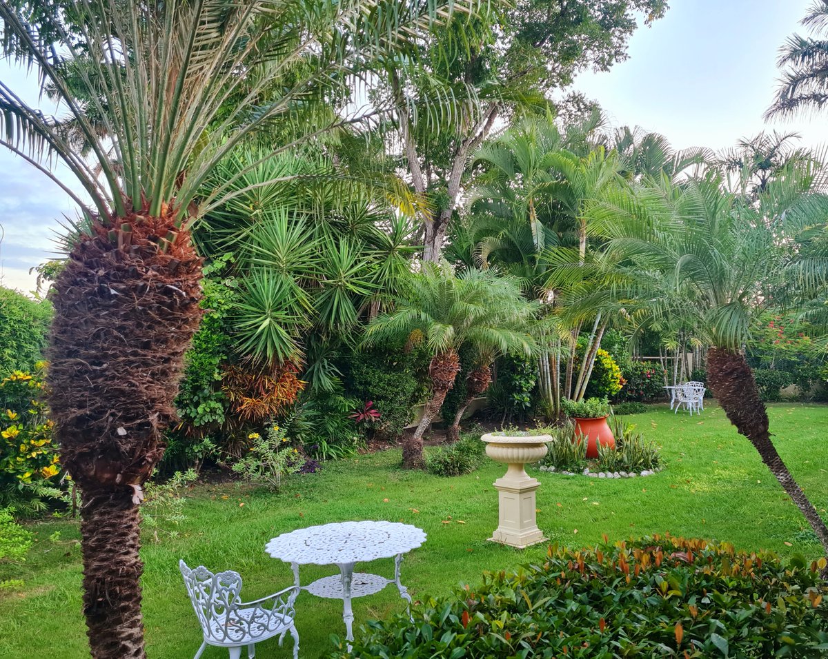 sanignaciobz's tweet photo. Good Morning from one of our garden rooms ππ΄
#sanignacioresort #sunnydays #belize #boutiqueresort #relax #jungleview #theonlyjungleintown #sun #belizeresorts #gardenview #wheninbelize #instagood #belizeit #caribbeanlife #tropics https://t.co/Cqms7GE9sf