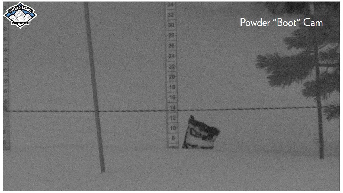 DinaKupfer's tweet photo. More than 6" of fresh snow will greet skiers and riders this AM @sugarbowlresort! I'm jealous of those of you who get to take advantage! #powcam #bootcam https://t.co/mZkUOy6Erk
