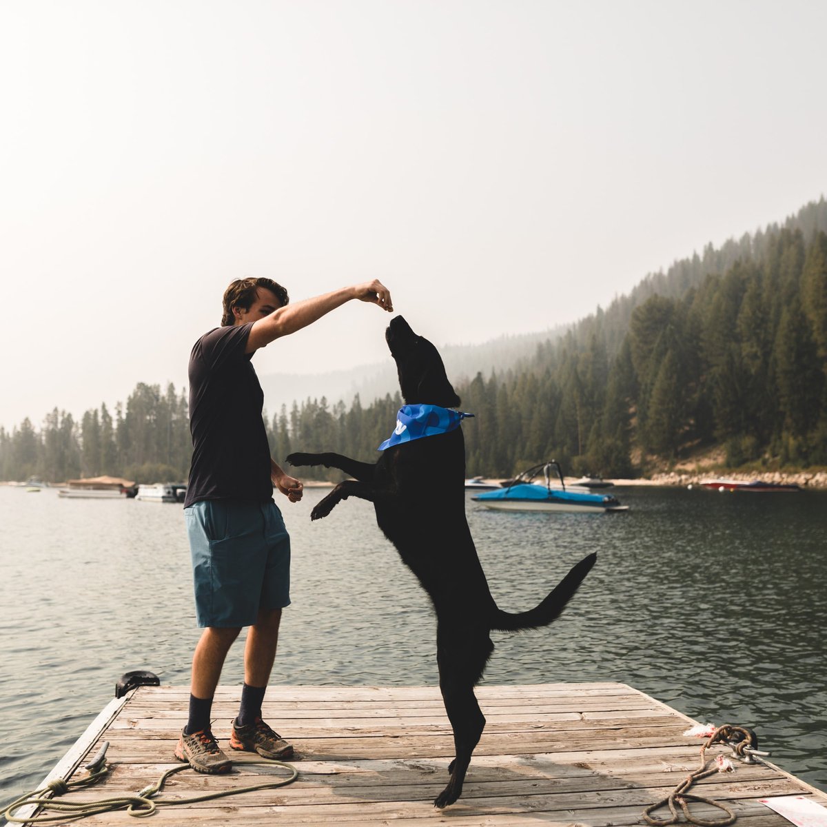 oakhurst_vet's tweet image. How to Play the Which Hand Game:

Put a treat in one of your hands as your dog is watching
Close your fists and extend both hands out toward your dog
Ask your dog “which hand?” and wait for them to choose!

#instadogs #funway #nosework #veterinarian #vetlife #dogs #cats