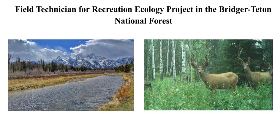 📢Dream field tech job alert!! 📢
Please RT!
Want to work on a recreation project in and around beautiful Jackson, WY (with housing provided)? 
Apply! 
Materials due February 19th. Start date, mid to late May. Full description and how to apply here. bit.ly/3Hh3Nov