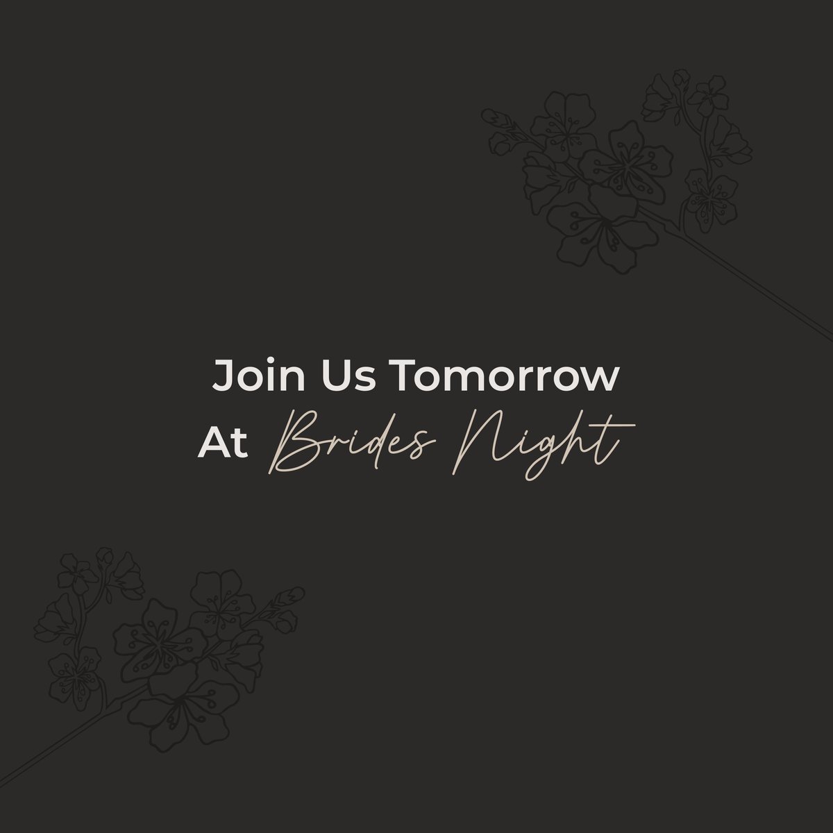 Get your tickets to Brides Night at Barrister before they are sold out!! ✨🤩

We are so excited for tomorrow's event! Grab your tickets here: bit.ly/BNweb23

#AppleBrides #BridesNight #BarristerWinery