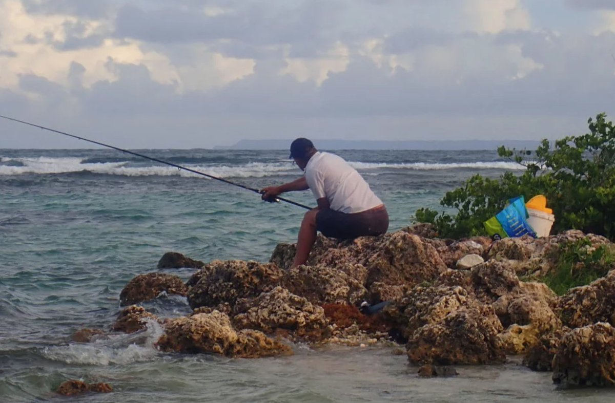 outremers360's tweet image. Aux #Antilles, des pêcheurs volontaires ont aidé l’@Ifremer_fr à évaluer la #pêchedeloisir

➡️ 7% des résidents de #Martinique, #Guadeloupe, #SaintMartin et #SaintBarthélemy pratiquent la pêche récréative, contre 3% dans l'Hexagone

➡️bit.ly/3XKzpIH