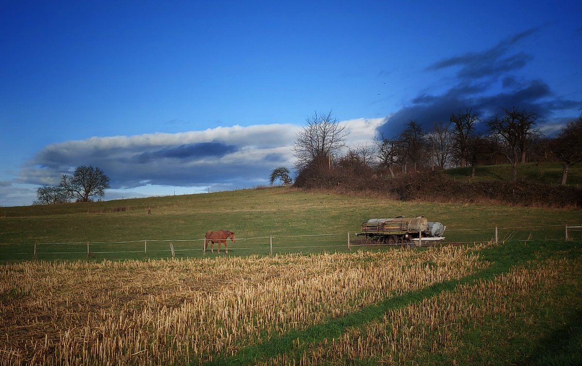 Einsames Pferd
#landschaft #landschaftsfotografie #landscape #landscapephotography