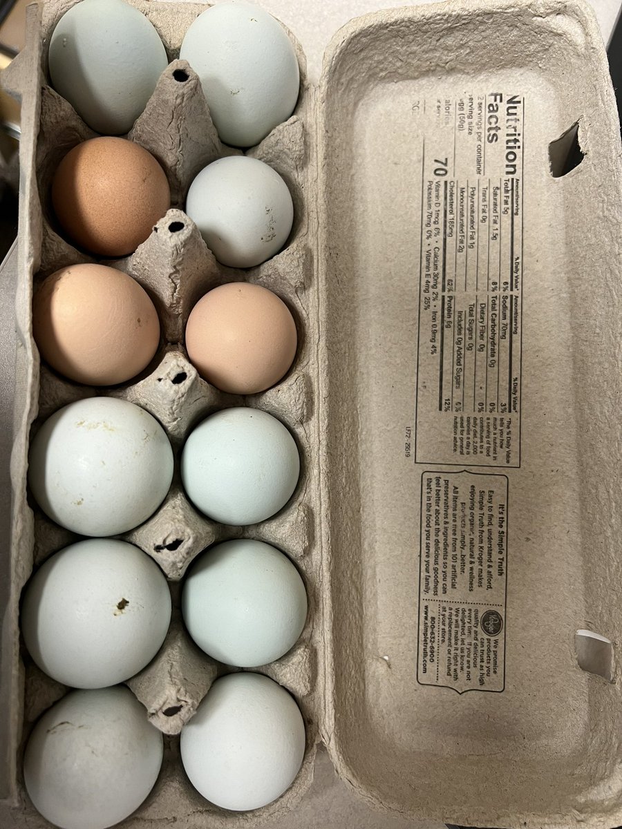 sarahkerb's tweet photo. Hi friends! I know the store has gotten crazy expensive to buy eggs. I have farm fresh eggs for $5 a dozen! Send me a message to get yours today!! #eggs #chickens #farmfresh #browneggs #greeneggs #blueeggs https://t.co/0bxAFxlRs9