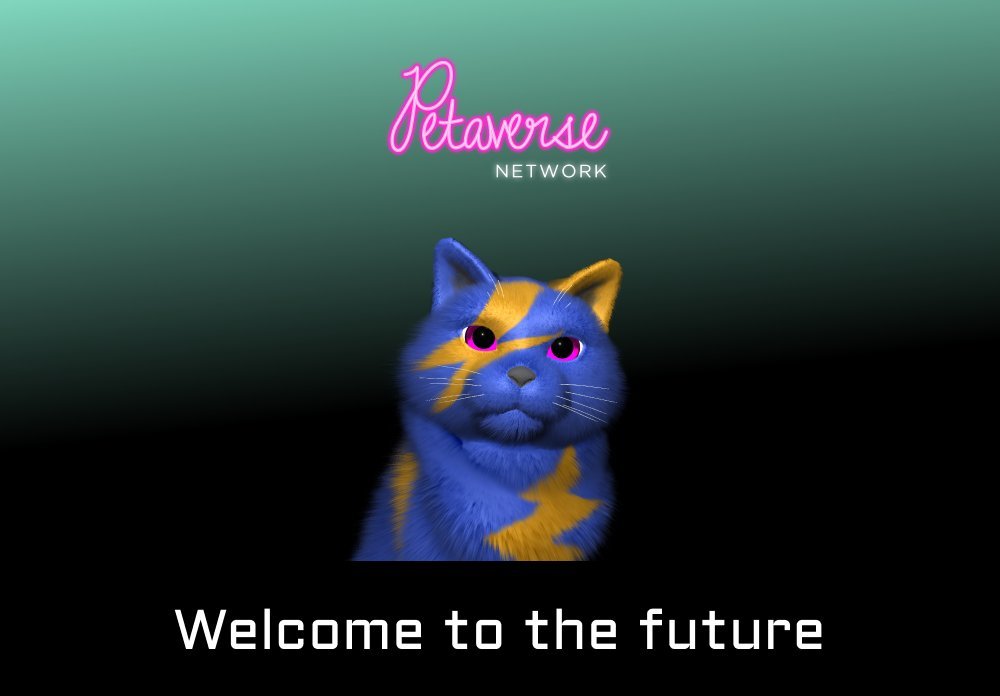 Petaverse Network &amp; BigplayerDAO WL Giveway💥
1.Follow <a href="/PetaverseNetwrk/">Petaverse Network</a> &amp; <a href="/BIPLAYER_DAO/">BIGPLAYER DAO(🧙, 🔑)</a>
2.Retweet, like
3.Join discord：discord.com/invite/petaver…
4.20wl，48hour
Video Sweepstakes~
Good luck🥰