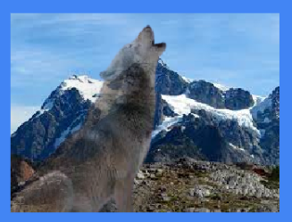 lovelandtech's tweet photo. Double Exposure Project - Ss combined 2 or more images to create a single image/idea. @Neptune_STEM @NeptuneSchools #DigitalGraphics #futuregraphicdesigners #wolvesarecool https://t.co/B5Fb8zD2St