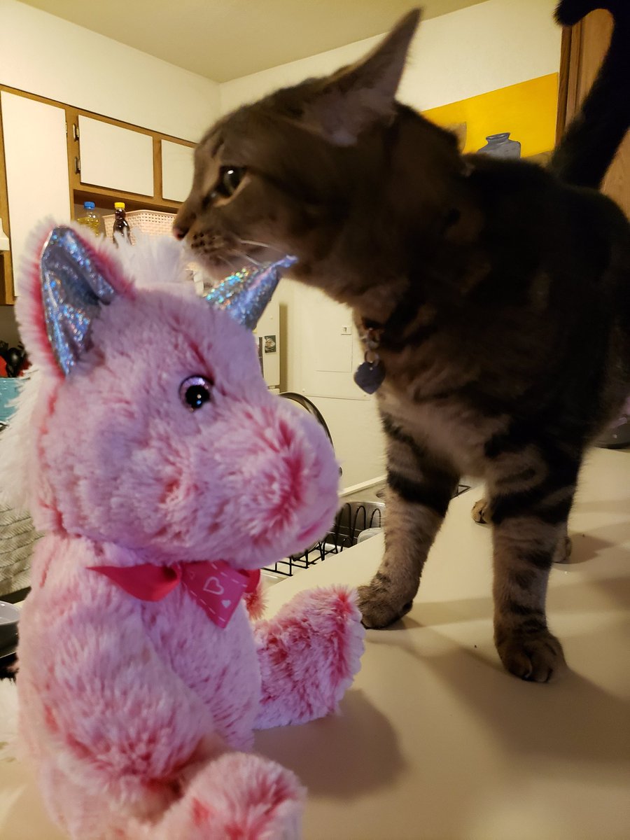 genevacares's tweet photo. I passed this unicorn in the grocery store.... and um... it made it into my cart somehow 🤷‍♀️😉 
Name suggestions are welcome. https://t.co/mj83AnjbzO