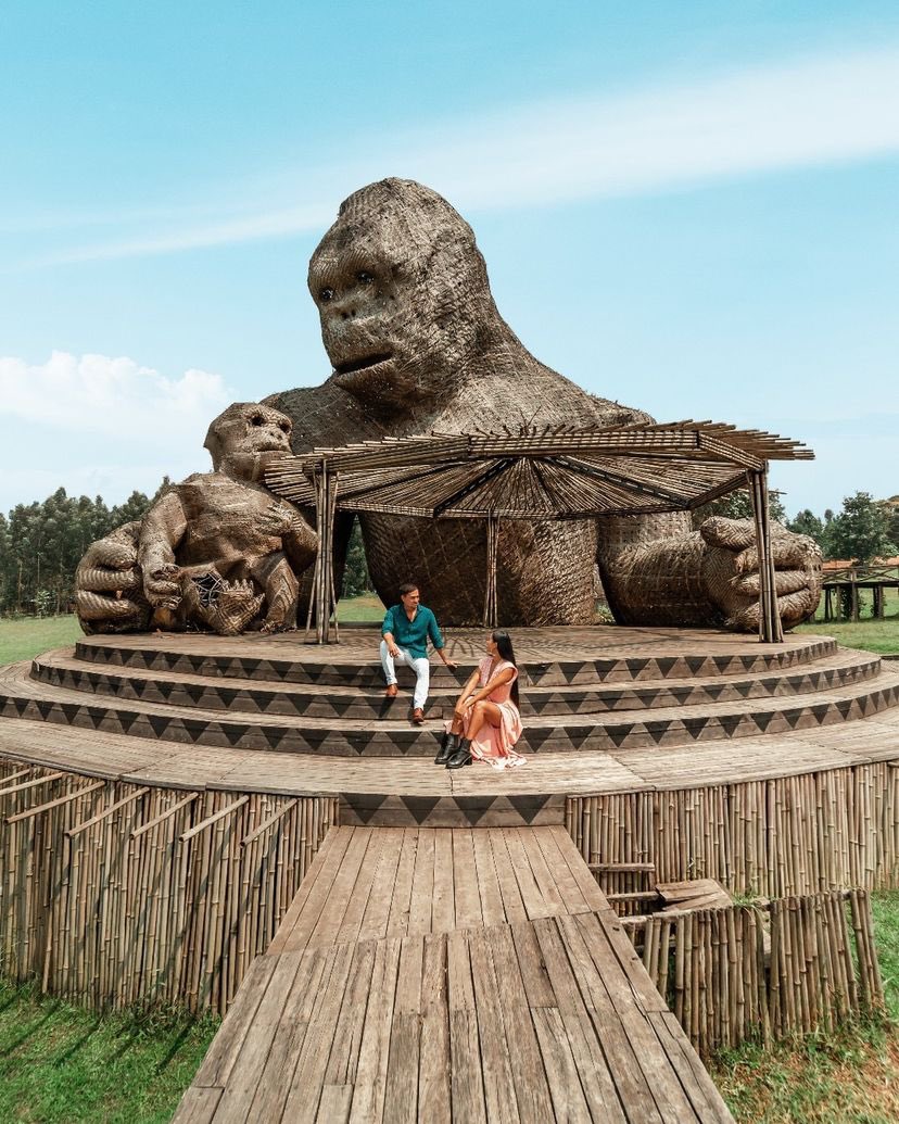 GorillasLtd's tweet photo. Calling for All African Nationals and Residents and expatriates, Get a Special offer to stay at One&amp;Only Gorilla’s Nest and Trek 2 see 🦍 in Volcanoes Park at Discounted prices. 
https://t.co/WGPfYwKVga 
info@gorillaexpeditionsafaris.com 
#TravelWithGorillaExpeditionSafaris #FYP https://t.co/2SiKH2fLkg