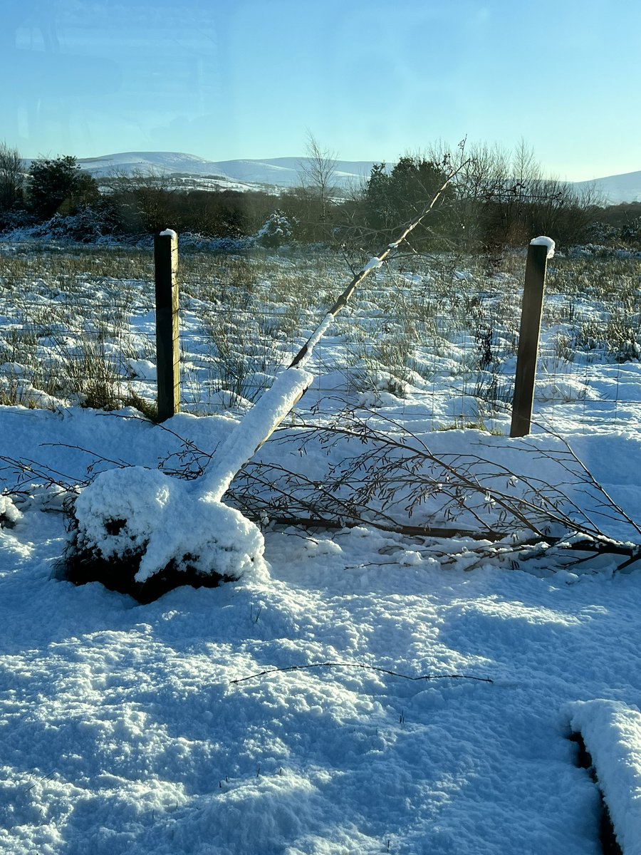 eejaymm's tweet photo. Signage on the lay-by on the Londonderry to Dungiven lanes, trees and fencing pulled out and a frozen pond. #A6D2D  #Oville 
@niroads @paulmccloskey12 https://t.co/jeAlwiwZ3z