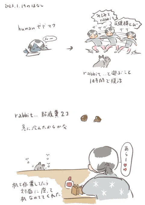 rabbit…はお水をよく飲みチモシーをよく食べています

#うさぎのいる生活 