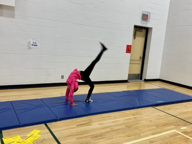 St. Bede Elementary School tweet media