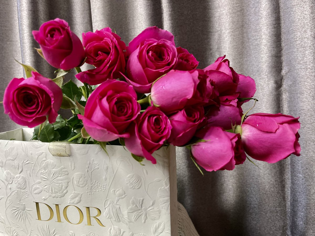 imyourfavre's tweet photo. I can buy myself flowers 💐✨ https://t.co/4xj5Tx2ksP