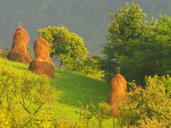 balkan_valkyrie's tweet photo. @DailyPicTheme2 #DailyPictureTheme https://t.co/zTLhloO71p