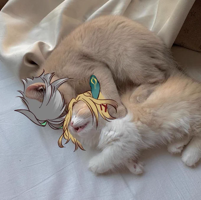 ALHAINYAN + CATVEH 