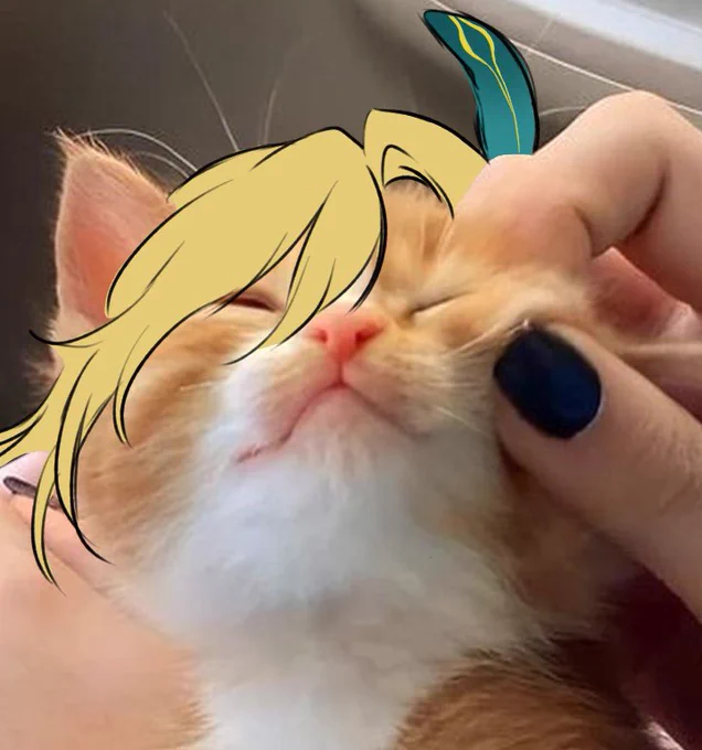 ALHAINYAN + CATVEH 