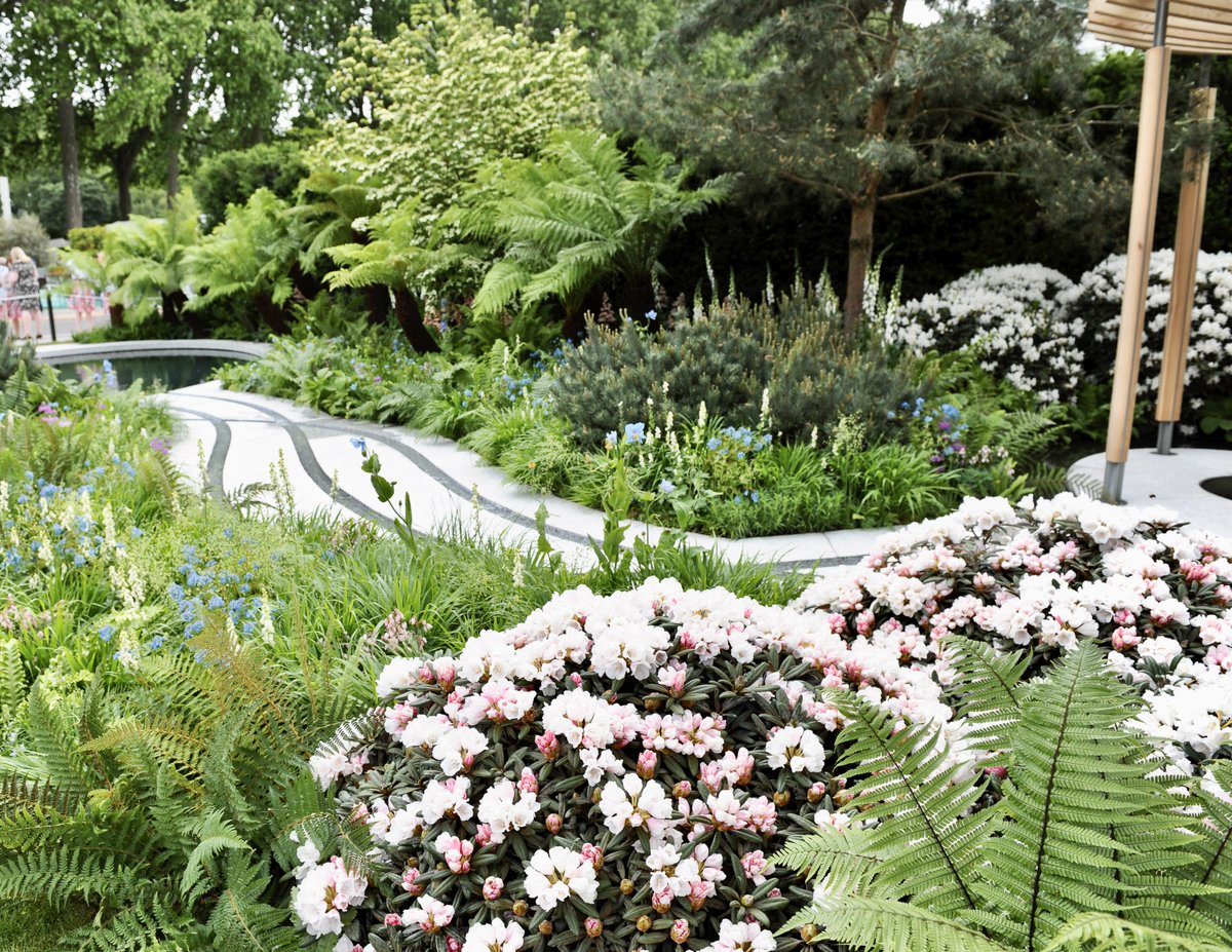 Memories of Cornwall Chelsea Flower Show 2011 Designer:Tom Hoblyn The inspiration for the water feature – one of the most memorable ever at Chelsea – came from looking at the patterns water makes flowing across a sandy beach. The garden was awarded a Silver Gilt medal🥈