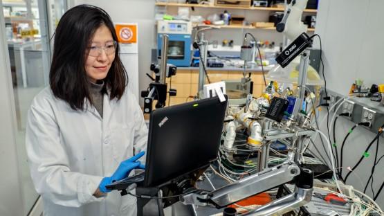 yanglabcornell's tweet photo. Thank you, Cornell Chronicle, for the recent feature of Dr. Yang and our lab!
https://t.co/Pf0Sqs5Asx https://t.co/HEGgP7qPa1