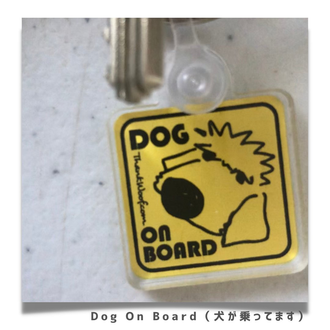 KayEmmCreates's tweet photo. おはえむ！「Dog on Board」のキーホルダーのサンプルを作ってみた。モデルはうちの子🐶サイズを間違えて極小、１インチ四方。さりげない大きさと言ったらいいか😂需要あるかな。
#おは戦50120jk 🍺 #グラフィックデザイン #犬グッズ  #犬好きさんと繋がりたい https://t.co/UWDbrqlOar