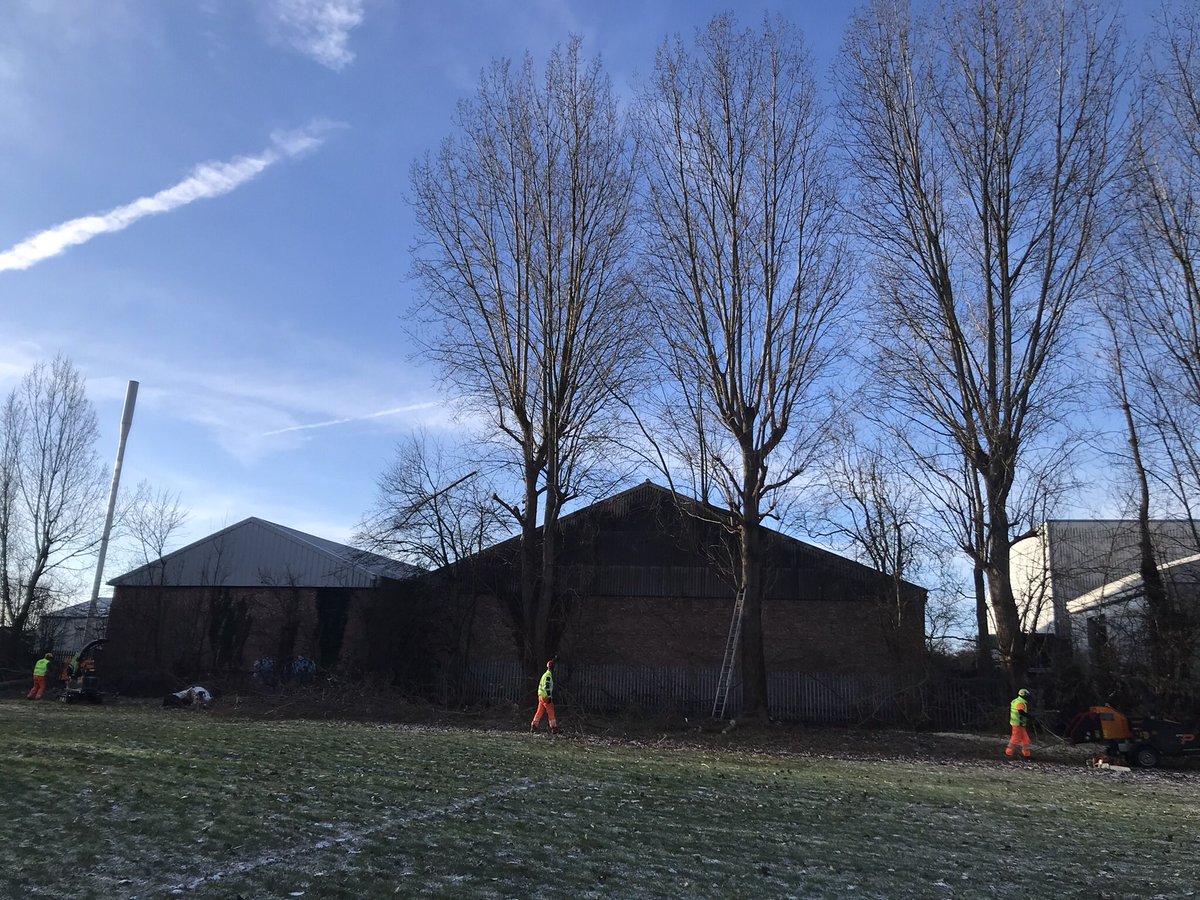 Firsttreecare tweet picture