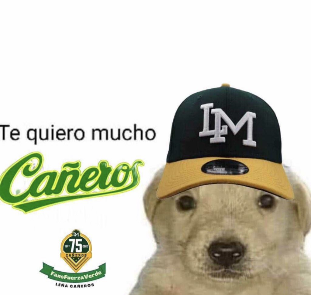 Juan 🐰 (@ramirezv_jp) on Twitter photo 